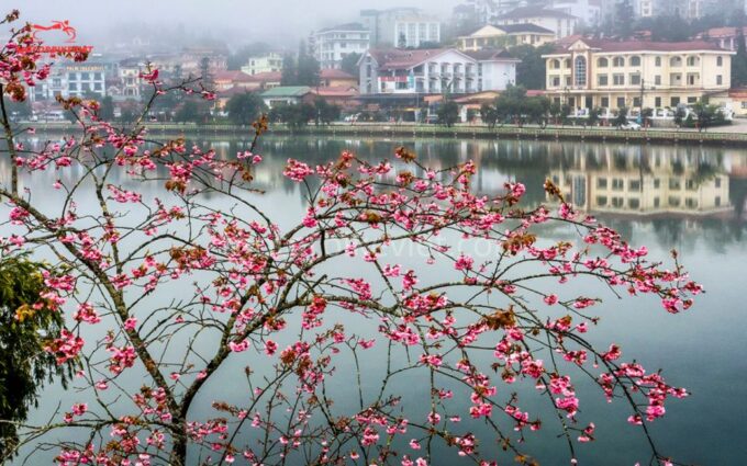 SAPA 2 Days - Classic Hikking Tour - Exclusions