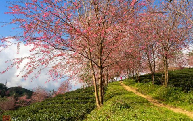 SAPA 2 Days - Classic Hikking Tour - Directions