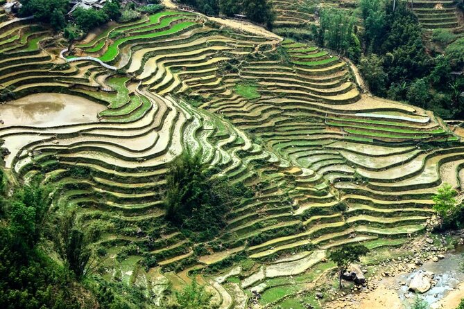 Sapa 2 Days Trek With 1 Night Homestay - Tour Details