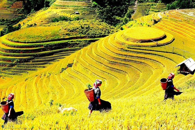 Sapa 2 Days Trek With 1 Night Homestay - Exploring Local Culture