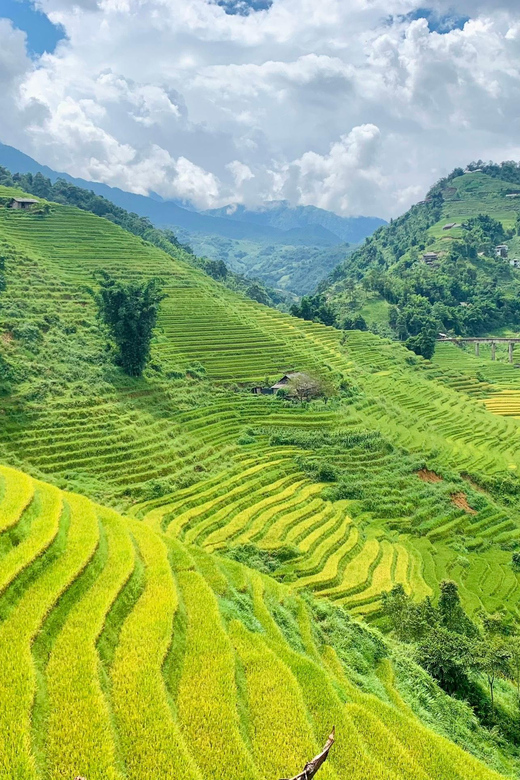 Sapa 2 Days Trekking and Homestay Experience - Highlights of the Trek