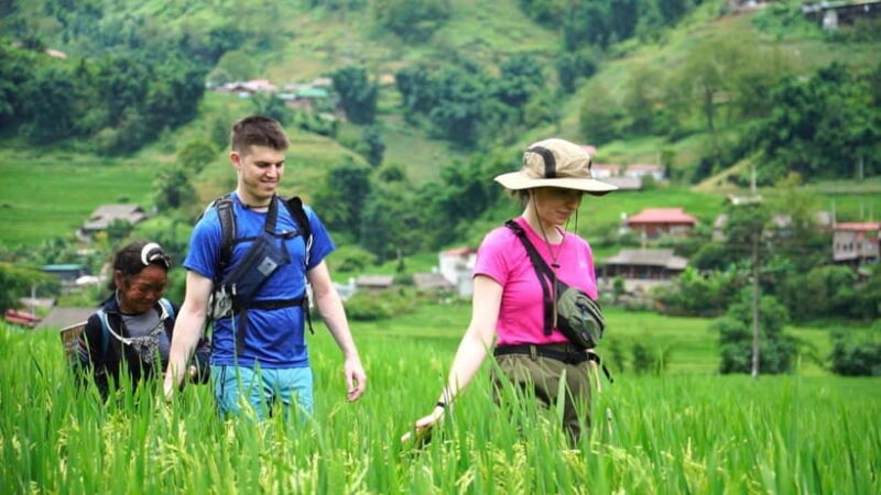 Sapa: 2D1N Budget Trekking & Homestay for Backpacker. - Getting to Sapa