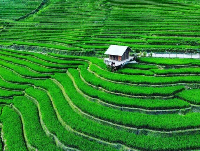 Sapa 2day 1night Trekking Tour - Cancellation and Payment Policy