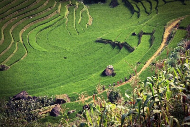 Sapa 3-Day Trekker - Day 1: Exploring Sapa Town