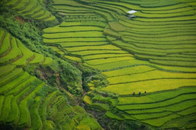 Sapa 3-Day Trekker - Day 3: Exploring Nam Toong Village