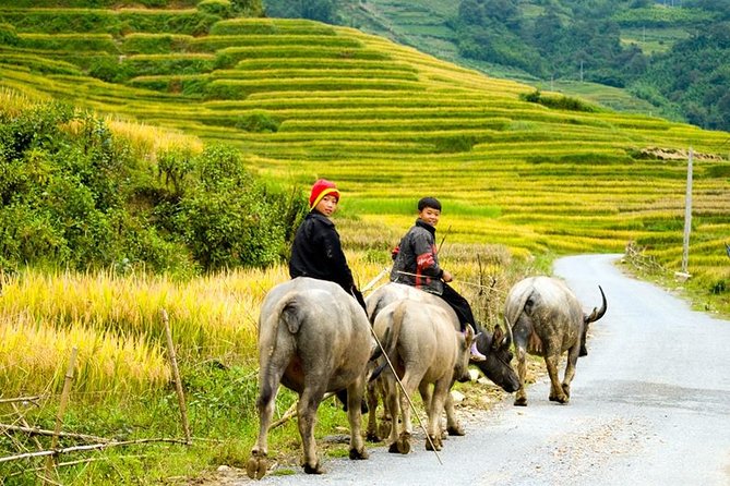 Sapa 3 Days 2 Nights Trekking Tour (1 Night In Ta Van Village, 1 Night In Hotel) - Pickup and Meeting Point