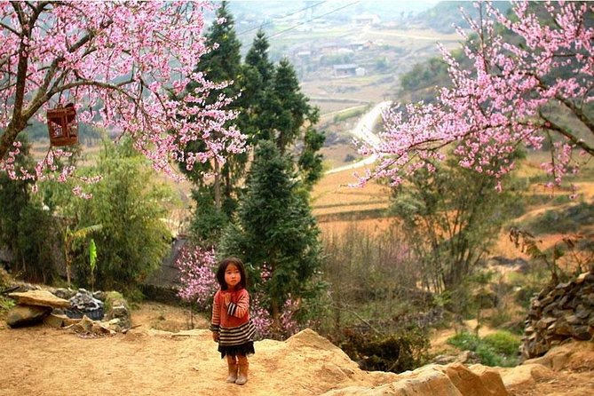 Sapa 3 Days 2 Nights Trekking Tour (1 Night In Ta Van Village, 1 Night In Hotel) - Trekking Difficulty and Conditions