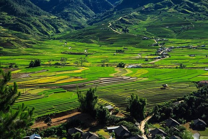 Sapa 3 Days 2 Nights Trekking Tour (1 Night In Ta Van Village, 1 Night In Hotel) - Customer Reviews and Highlights