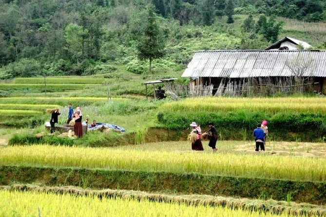 Sapa 3 Days Trekking Tour by Bus From Hanoi (2 Nights in Hotel) - Sapa Hotel and Accommodation
