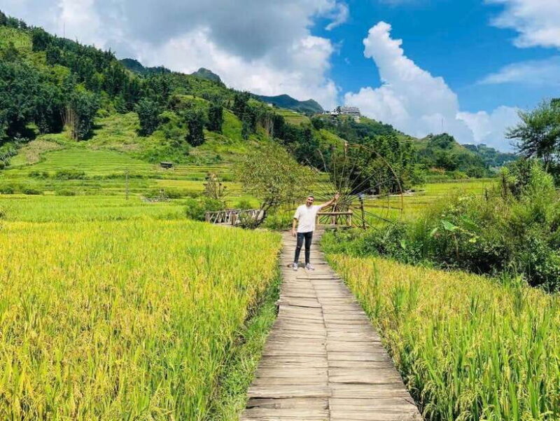 Sapa 3Days Trekking Rice Fields, Phansipan, Cat Cat Village - Trekking Through Rice Terraces