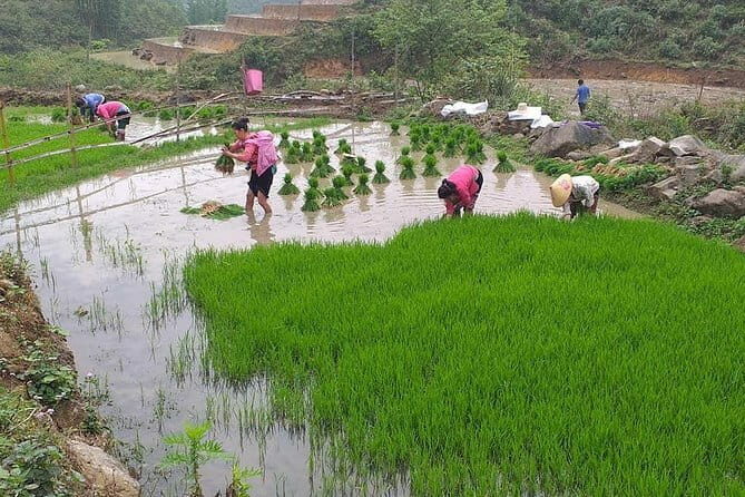 Sapa Adventure Motorbike Tour With Local Guide - FAQ
