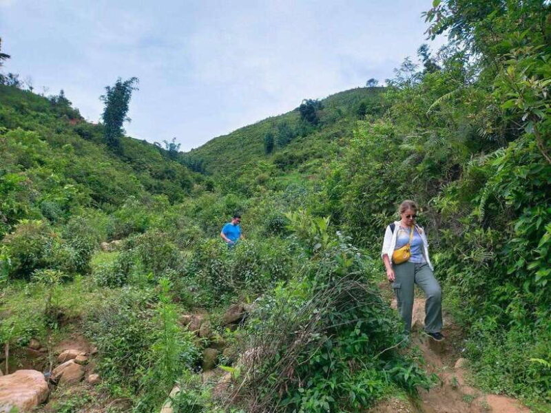 Sapa: Amazing Suoi Ho, Ma Tra Villages Private Day Trip - Detailed Itinerary