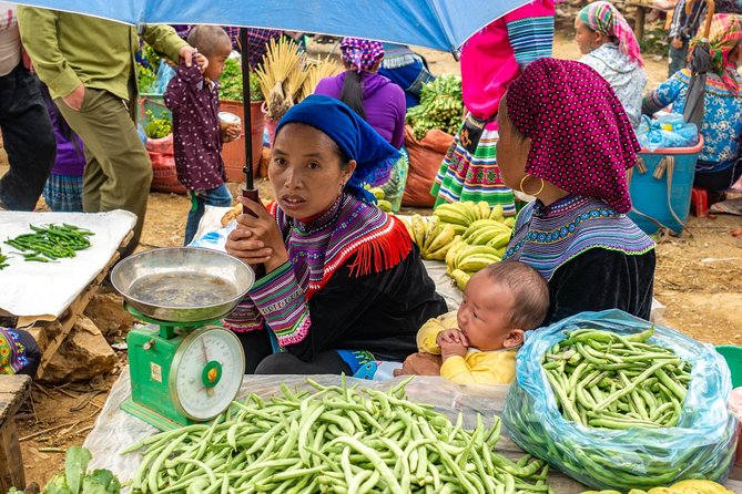Sapa, Bac Ha Market Tour - 1 Day Tour - Pricing and Cancellation Policy