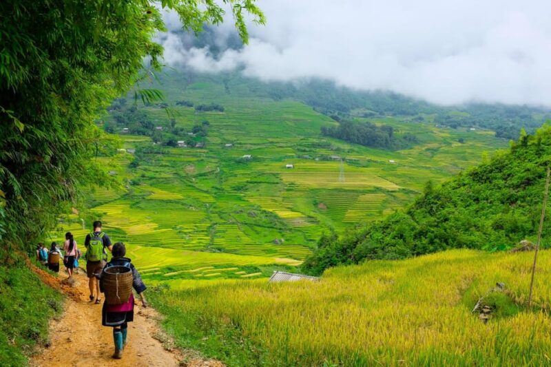 Sapa Beautiful Rice Field, Village - Easy Walking Kid,Senior - Itinerary Details