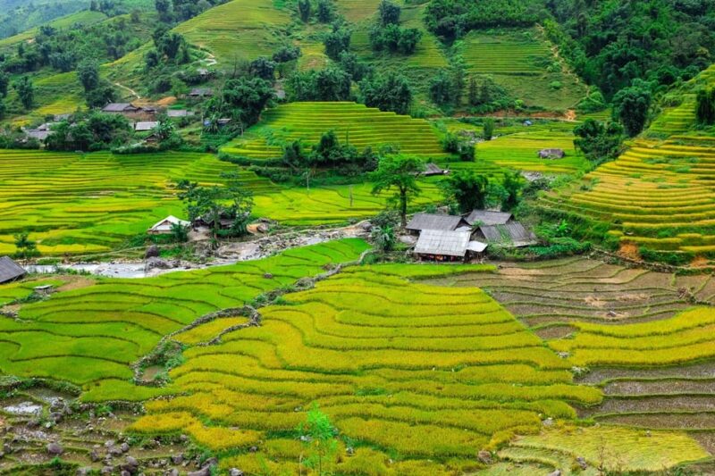 Sapa Beautiful Rice Field, Village - Easy Walking Kid,Senior - Scenic Views and Cultural Insights