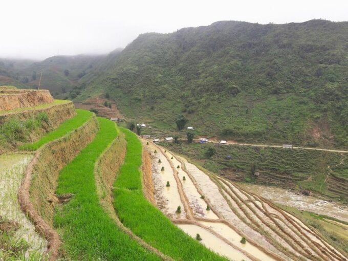 Sapa Beautiful Rice Field, Village - Easy Walking Kid,Senior - Accessibility and Private Group Option