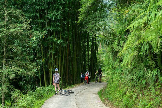 Sapa Bicycle Tour - Visit Muong Hoa Valley And Batik Workshop - Practical Tips for Participants