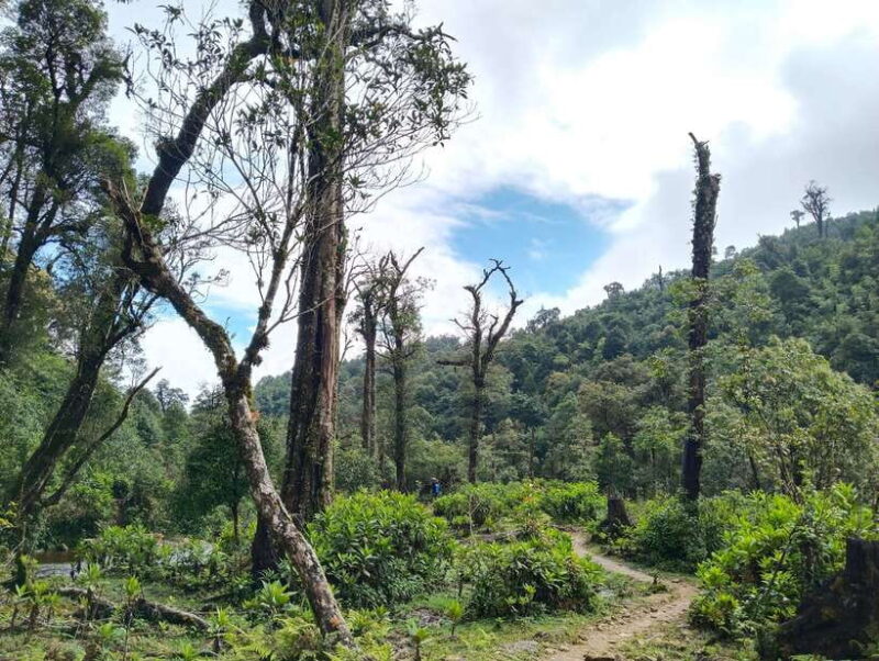 SAPA : Climb up to Fansipan Mountain With LOCAL GUIDE - Inclusions and Requirements