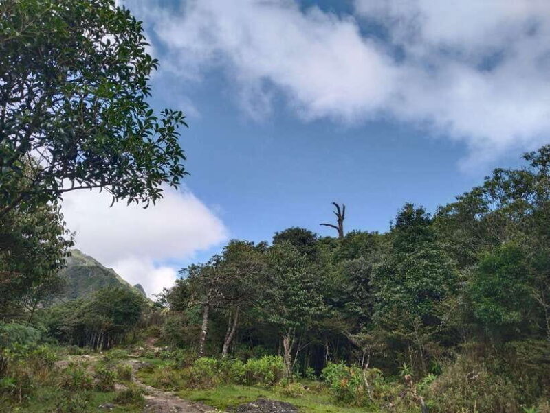 SAPA : Climb up to Fansipan Mountain With LOCAL GUIDE - Customer Reviews and Ratings