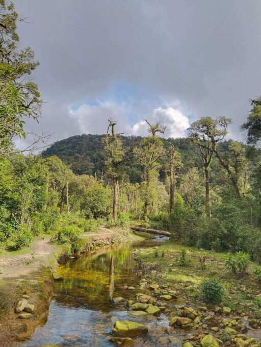 SAPA : Climb up to Fansipan Mountain With LOCAL GUIDE - Booking and Contact Information