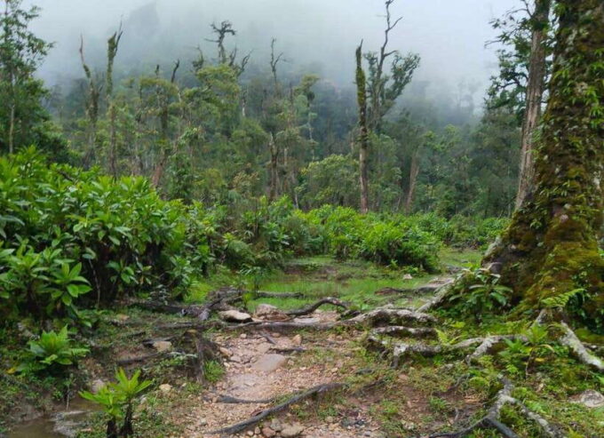 SAPA : Climb up to Fansipan Mountain With LOCAL GUIDE - Safety and Physical Preparation