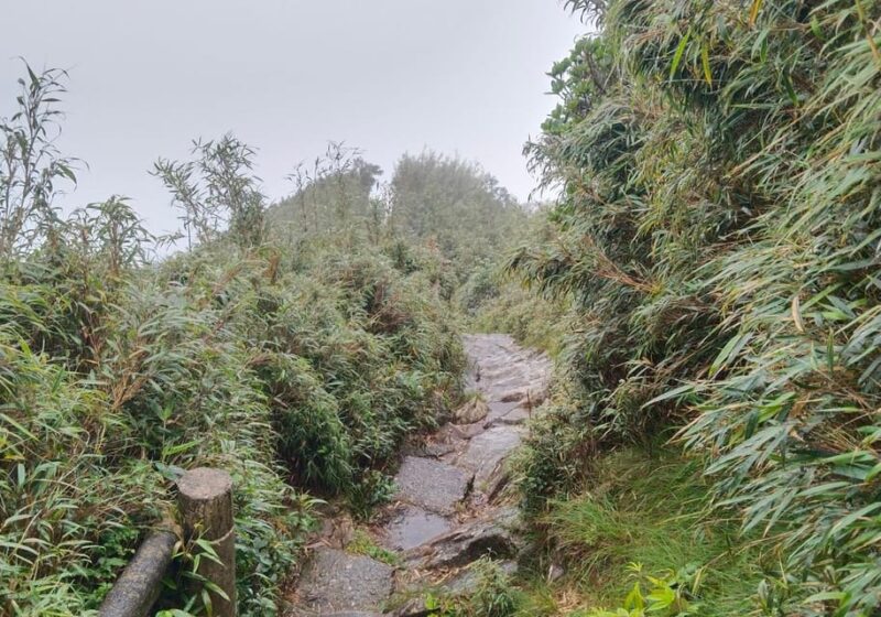 SAPA : Climb up to Fansipan Mountain With LOCAL GUIDE - Participant Restrictions
