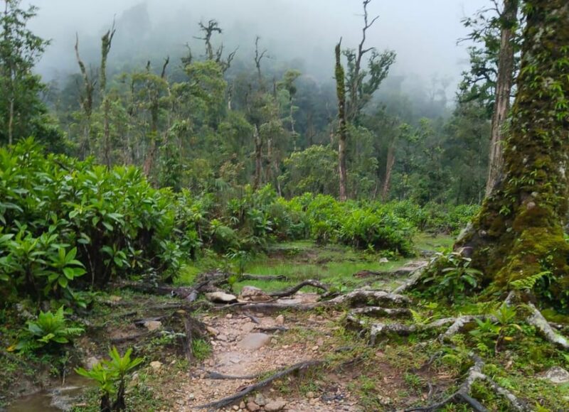 SAPA : Climb up to Fansipan Mountain With LOCAL GUIDE - Customer Feedback