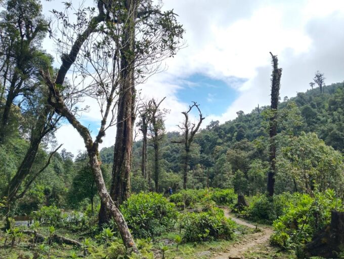 SAPA : Climb up to Fansipan Mountain With LOCAL GUIDE - Frequently Asked Questions