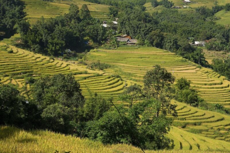 Sapa Daily Trip: Easy Trekking and Hotel 2 Days 1 Night - Key Points