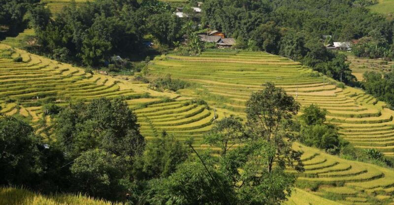 Sapa Daily Trip: Easy Trekking and Hotel 2 Days 1 Night - Highlights