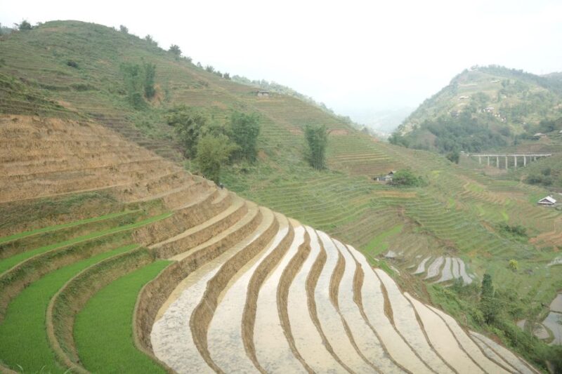 Sapa Daily Trip: Easy Trekking and Hotel 2 Days 1 Night - Day 2: Sapa - Y Linh Ho - Lao Chai - Ta Van