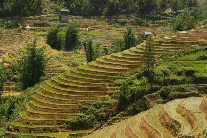 Sapa Daily Trip: Easy Trekking and Hotel 2 Days 1 Night - Additional Information