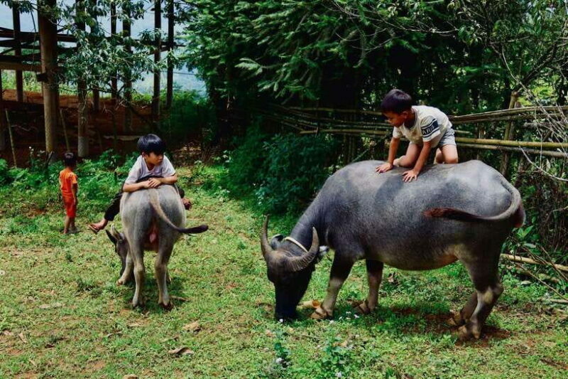 Sapa: Discover the Secrets of Red Dao herbal bath - Key Points