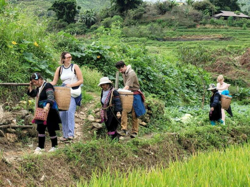 Sapa: Discover the Secrets of Red Dao herbal bath - What Travelers Say