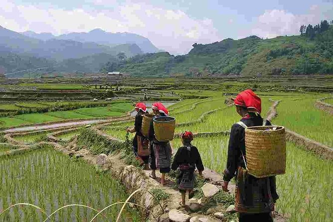 Sapa Easy Trekking Tour 1 Day - Rice Paddies and Cultures - Health and Accessibility
