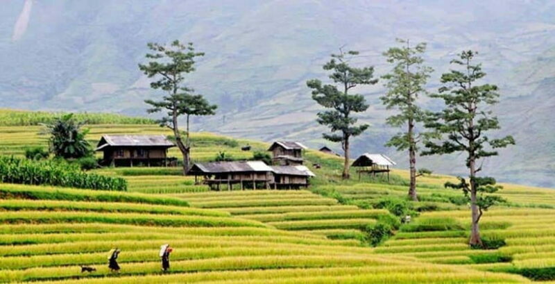Sapa: Eco Adventure Terrace Fields and Local Villages Trek - A Deep Dive into the Experience