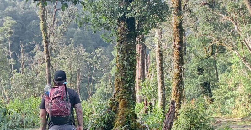 Sapa: Fansipan 1 Day Trip With Local Experts - Inclusions
