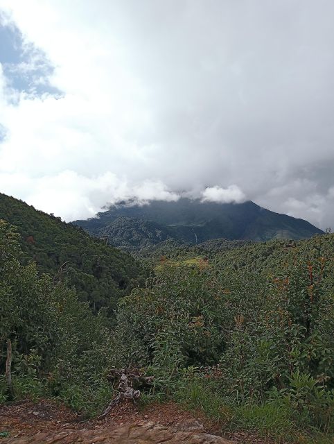 Sapa: Fansipan 2D1N With Local Experts - 2-Day 1-Night Trekking Experience