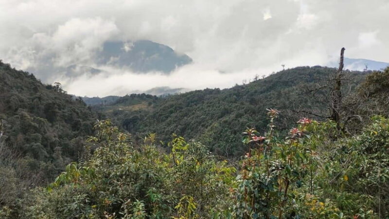 Sapa: Fansipan Mountain 2-Day Trekking Tour - Tour Overview