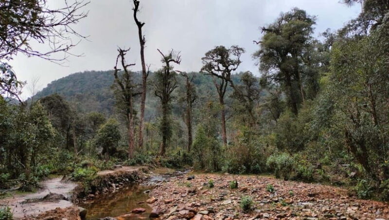 Sapa: Fansipan Mountain 2-Day Trekking Tour - Inclusions