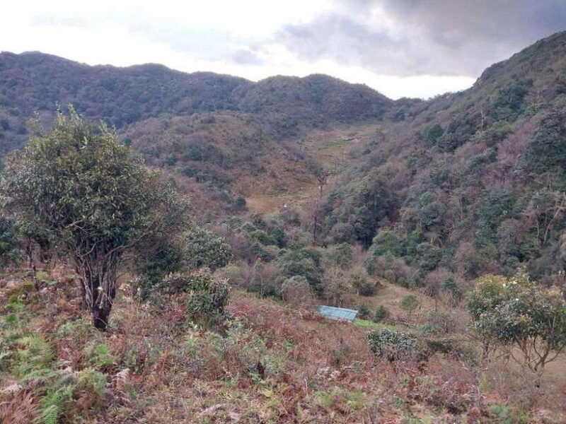 Sapa: Fansipan Mountain 2-Day Trekking Tour - Booking and Cancellation Policy