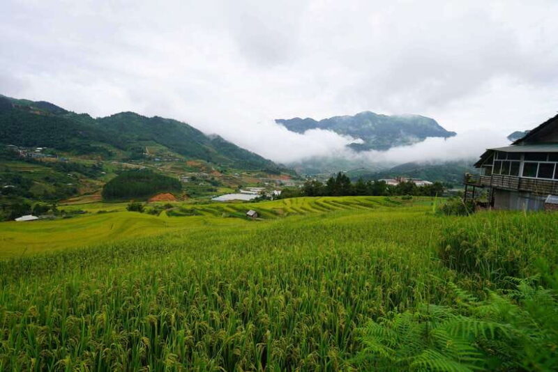 Sapa: Full-Day Hike to Ta Phin & Cat Cat Village With Lunch - Inclusions