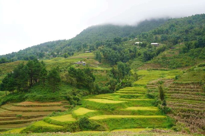 Sapa: Full-Day Hike to Ta Phin & Cat Cat Village With Lunch - Important Information