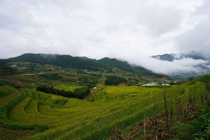 Sapa: Full-Day Hike to Ta Phin & Cat Cat Village With Lunch - Since You Asked