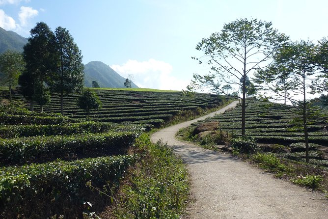 Sapa Full Day Motorbike Tour - Exploring Mountain Landscapes