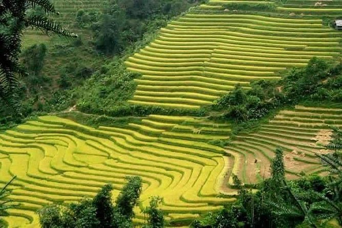 Sapa: Full-Day Private Muong Hoa Valley Tour - Inclusions