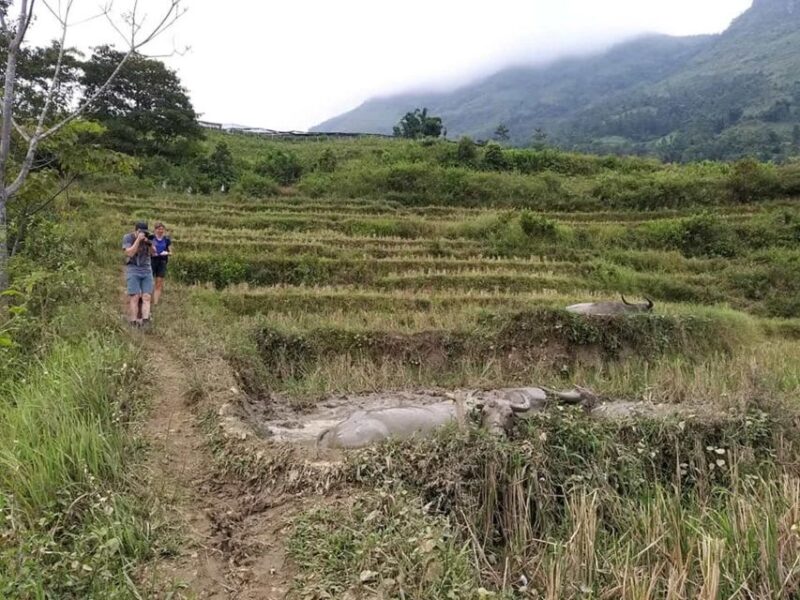 Sapa: Full-Day Private Muong Hoa Valley Tour - Exploring Ethnic Diversity