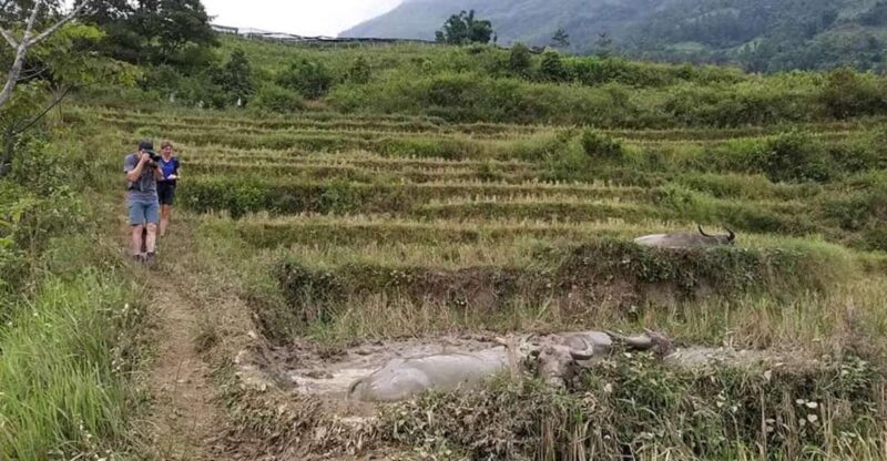 Sapa: Full-Day Private Muong Hoa Valley Tour - Taking in Local Customs