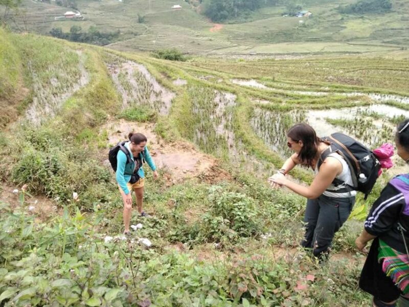 Sapa: Full-Day Private Muong Hoa Valley Tour - Pricing and Exclusions