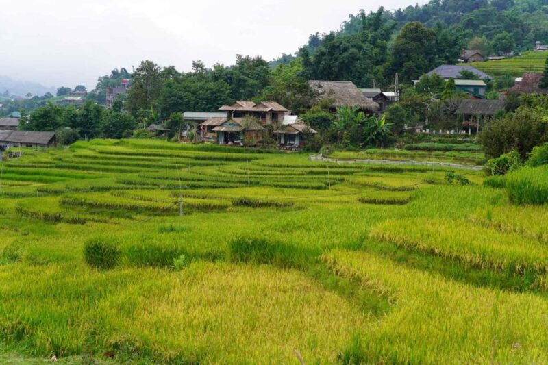 Sapa Full Day Trip to Ta Phin - Cat Cat Village With Lunch - Trekking and Exploring Ta Phin Village